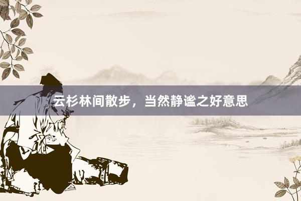 云杉林间散步,当然静谧之好意思