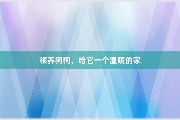 领养狗狗,给它一个温暖的家